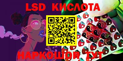 прущие грибы Нарткала