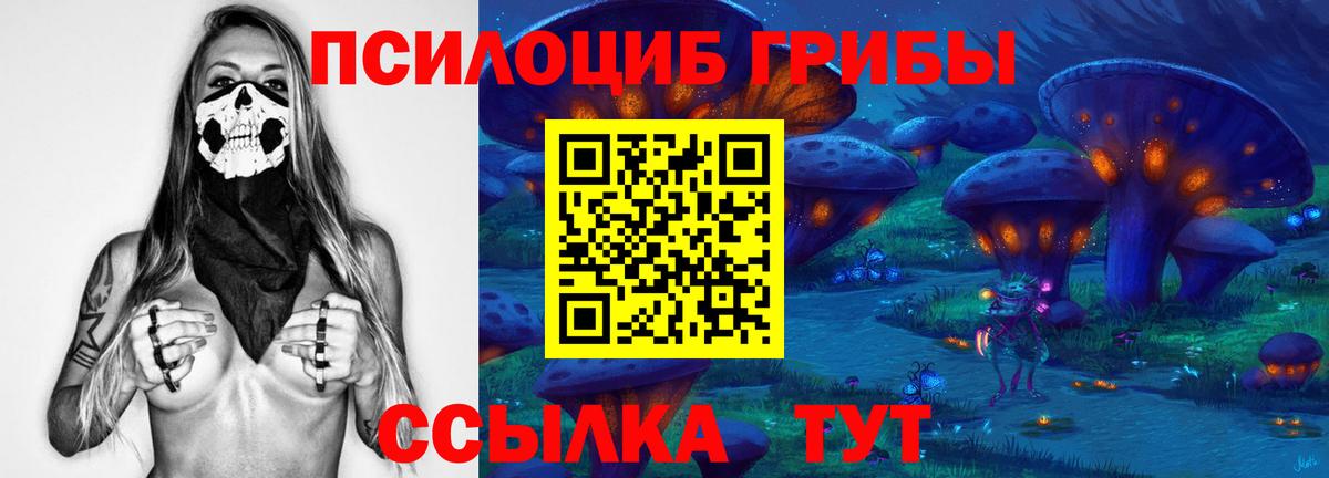 Унеча  Псилоцибиновые грибы мухоморы  Вход с VPN 